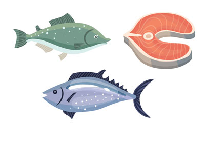 pescados-alimentacion-complementaria